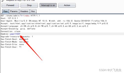 熊海CMS安全漏洞剖析 SQL注入、XSS攻擊與Cookie篡改